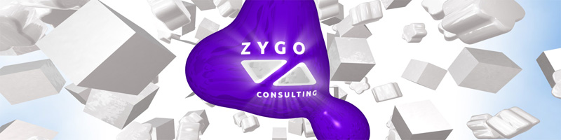 Zygo Consulting